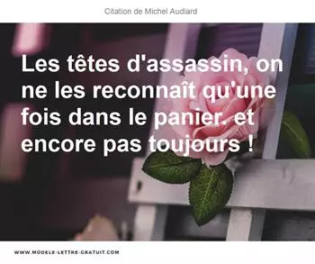 Citations Michel Audiard