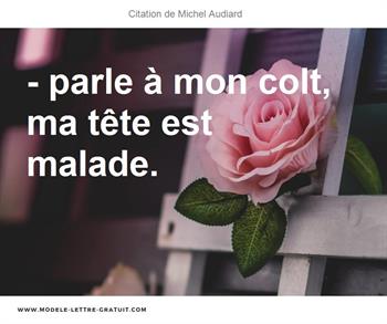 Citations Michel Audiard