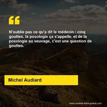 Citation Michel Audiard