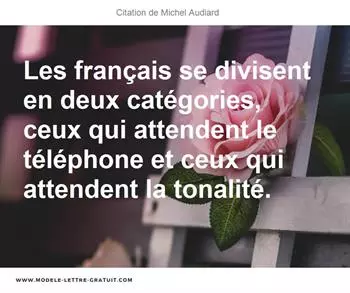 Citations Michel Audiard