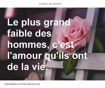 Citations Molière