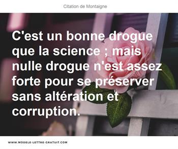 Citations Montaigne