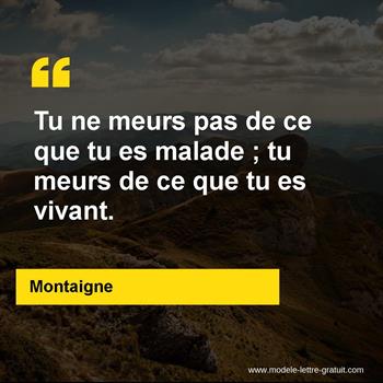 Citation de Montaigne