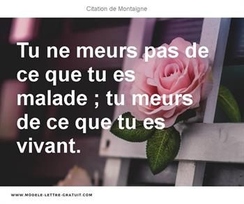 Citations Montaigne