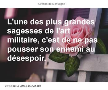 Citations Montaigne