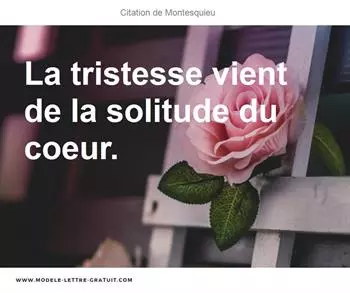 Citations Montesquieu