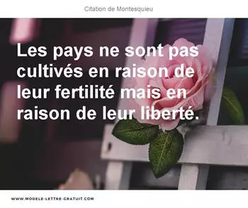 Citations Montesquieu
