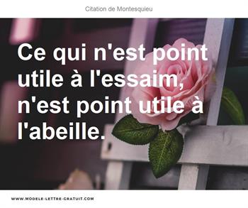 Citations Montesquieu