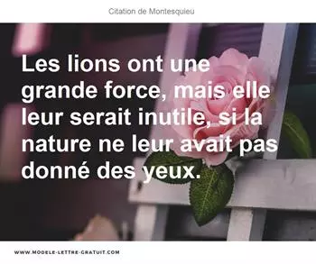 Citations Montesquieu