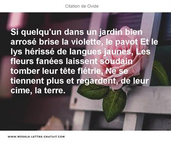 Si Quelqu Un Dans Un Jardin Bien Arrose Brise La Violette Le Ovide