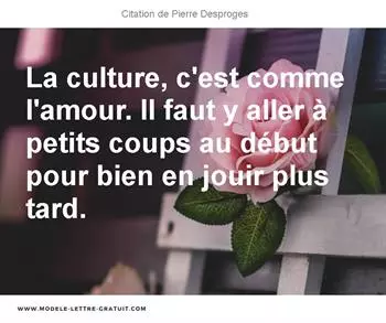 Citations Pierre Desproges