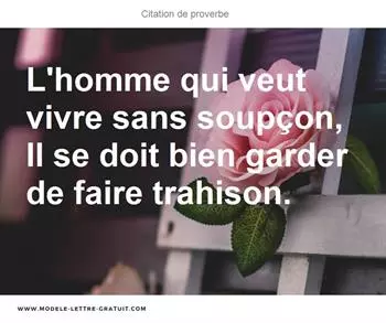 Citations proverbe