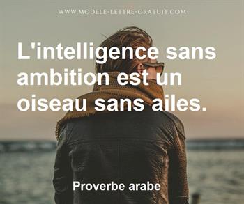 Citation de Proverbe arabe
