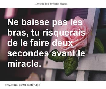 Citations Proverbe arabe