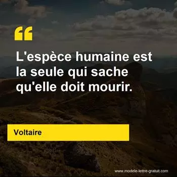Citation Voltaire