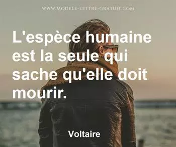 Citation de Voltaire