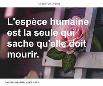 Citations Voltaire