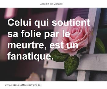 Citations Voltaire