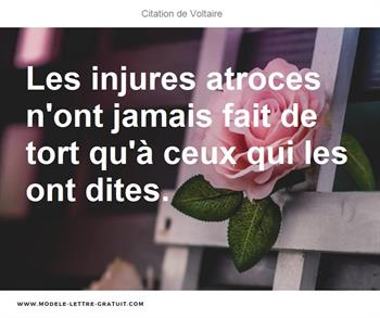 Citations Voltaire