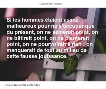 Citations Voltaire