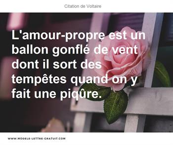 Citations Voltaire