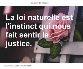 Citations Voltaire