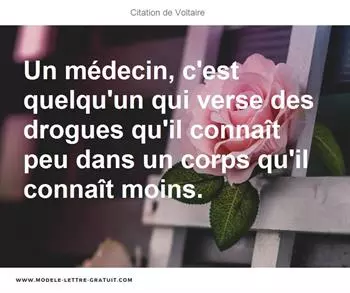 Citations Voltaire