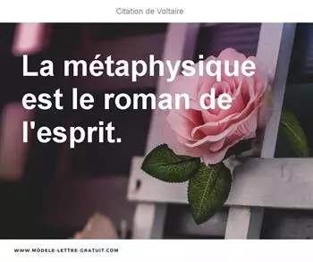 Citations Voltaire