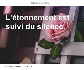 Citations Voltaire