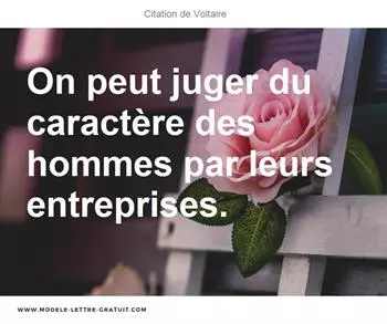 Citations Voltaire
