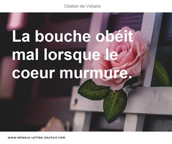 Citations Voltaire