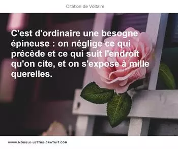 Citations Voltaire