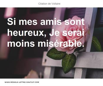 Citations Voltaire
