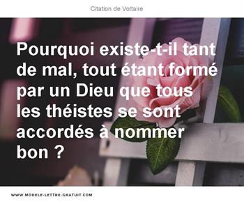 Citations Voltaire