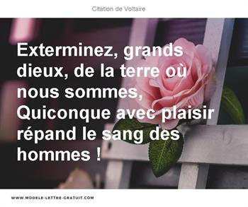 Citations Voltaire