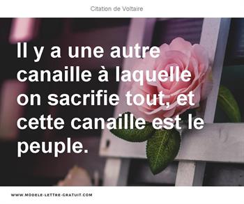 Citations Voltaire