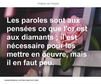 Citations Voltaire