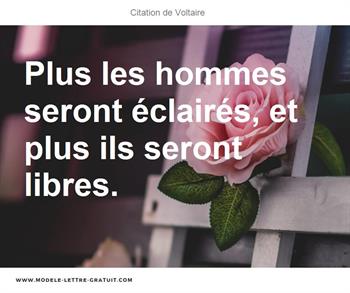Citations Voltaire