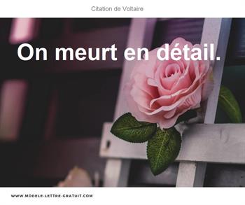 Citations Voltaire