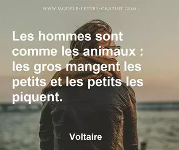 Citation de Voltaire