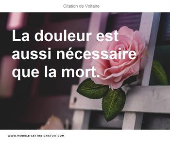 Voltaire A Dit La Douleur Est Aussi Necessaire Que La Mort