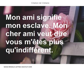 Citations Voltaire