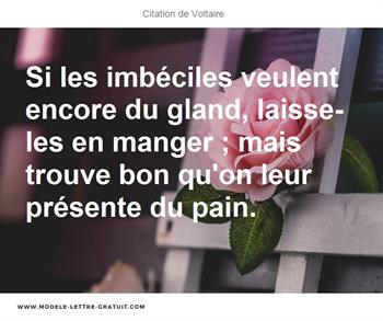 Citations Voltaire