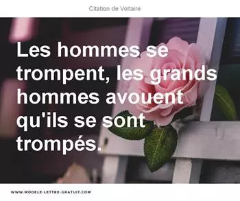 Citations Voltaire