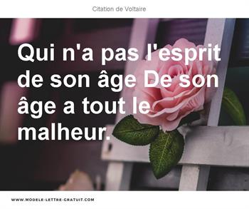 Citations Voltaire