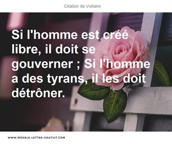 Citations Voltaire