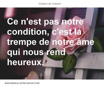 Citations Voltaire