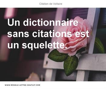 Citations Voltaire
