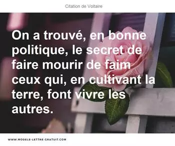 Citations Voltaire