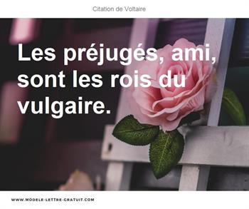 Voltaire A Dit Les Prejuges Ami Sont Les Rois Du Vulgaire